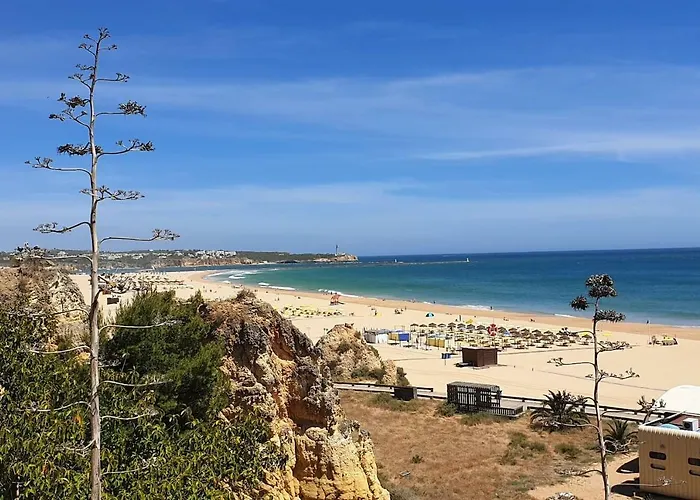 Sol Da Rocha Superior By Sunny Deluxe *